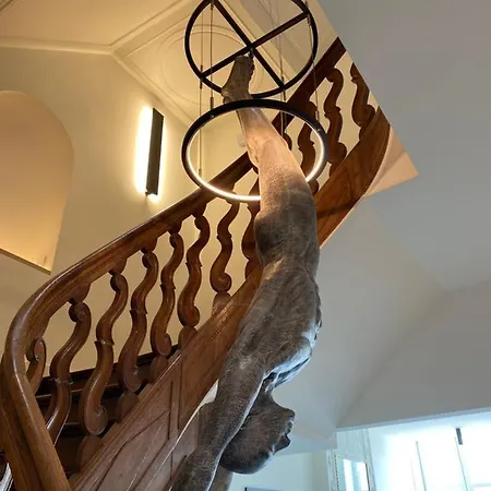 Petit-roannay Отель 3*