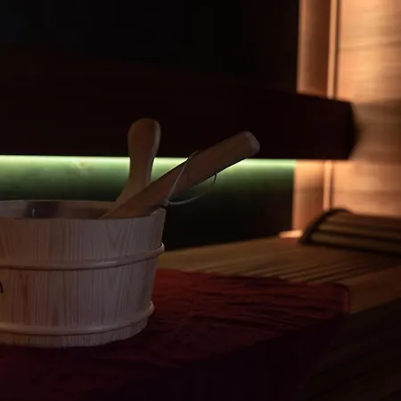 Отель Petit-roannay 3*