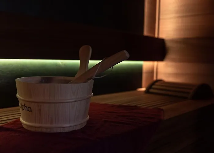 Hotel Petit-roannay 3*